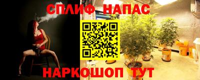 PSILOCYBIN Кумертау