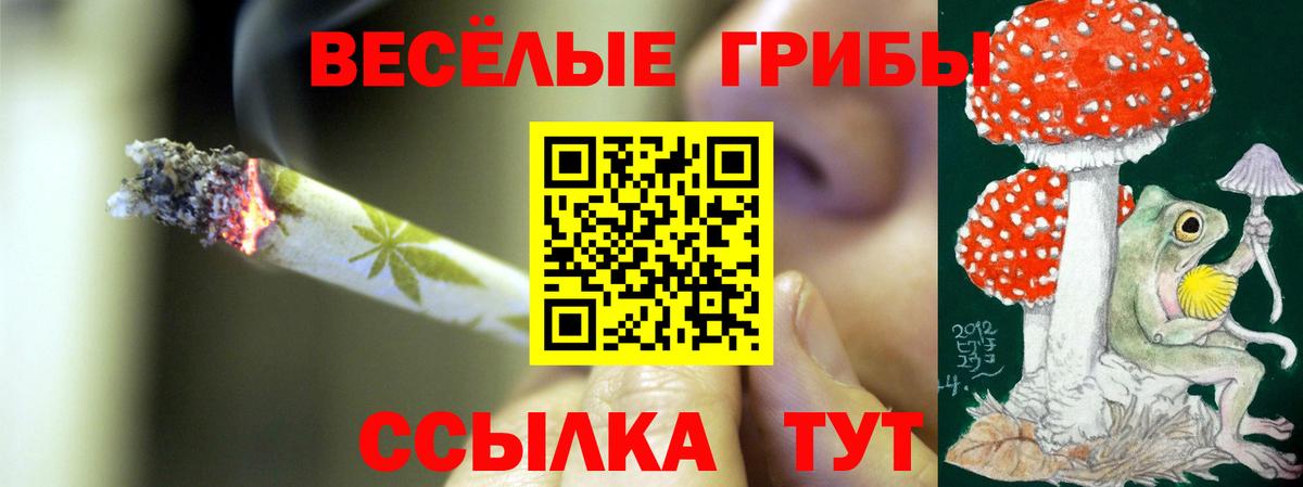 Галлюциногенные грибы Magic Shrooms  хочу наркоту  Галлюциногенные грибы Cubensis  Донской  Вход с VPN 